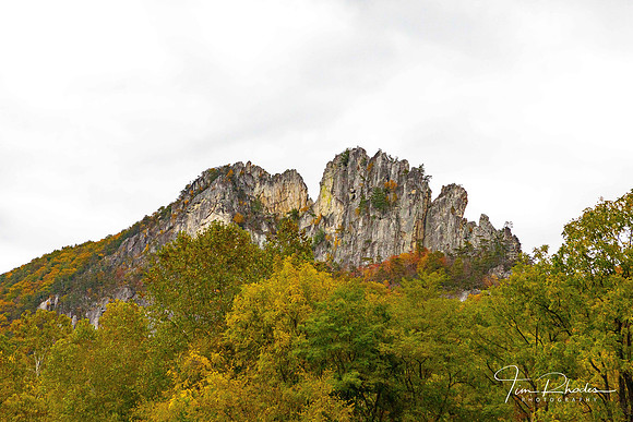 2021 Canaan Fall-0293