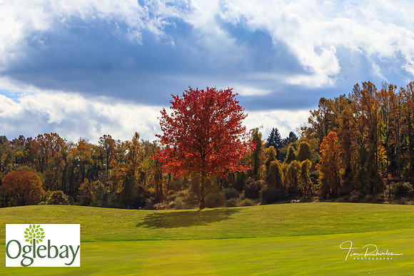 2022 Oglebay Golf-1720-2