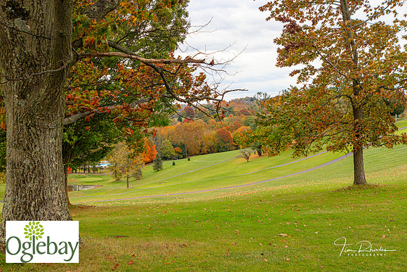 2022 Oglebay Golf-1431