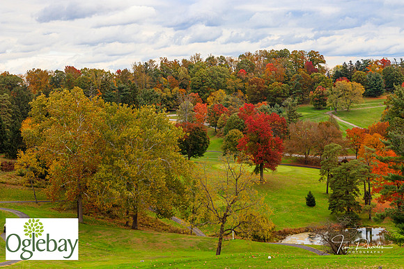 2022 Oglebay Golf-1408
