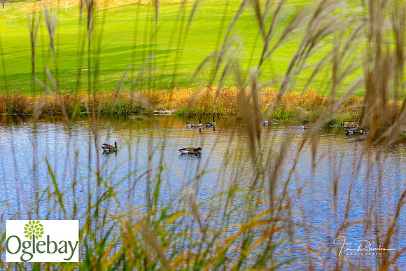 2022 Oglebay Golf-0111