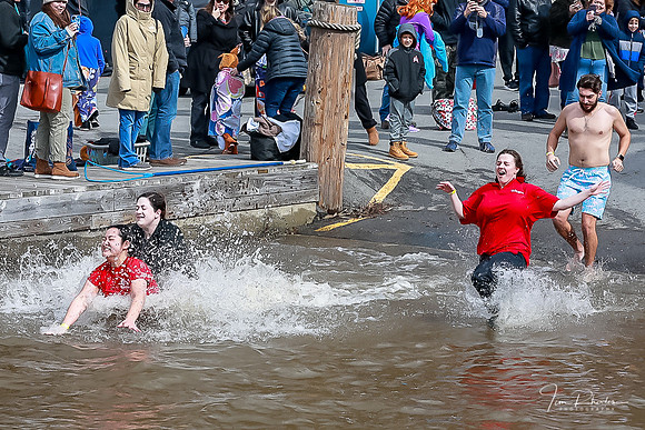Polar Plunge 2022-0137