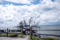 2026 Maryland-0028