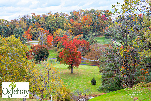 2022 Oglebay Golf-1394