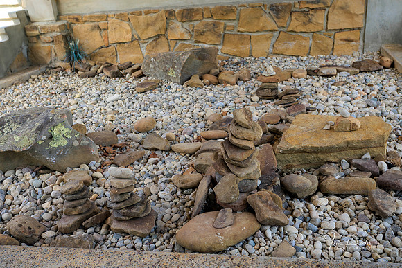 2026 WV Vacation -0485