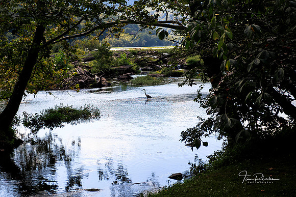 2026 WV Vacation -0424