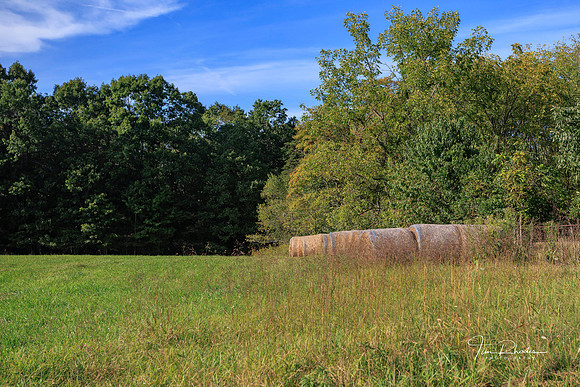 2026 WV Vacation -0524