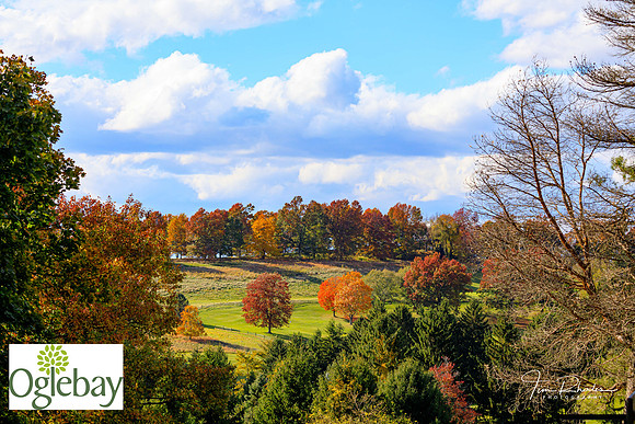 2022 Oglebay Golf-0161