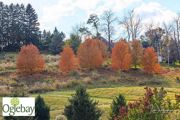 2022 Oglebay Golf-0129