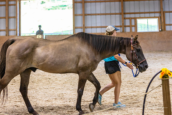 On Eagles Wings-0158