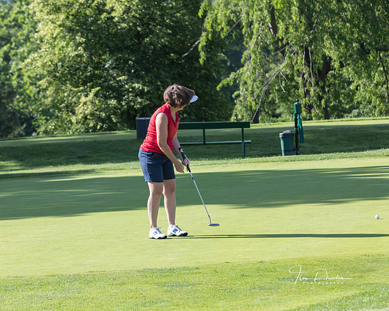 GOLF-8684