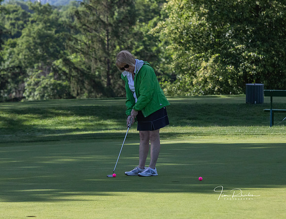 GOLF-8696