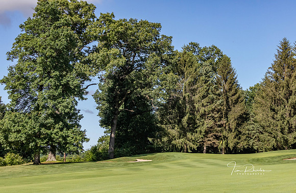 GOLF-8728