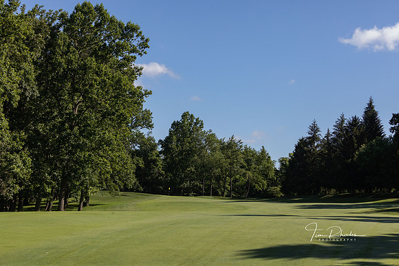 GOLF-8740