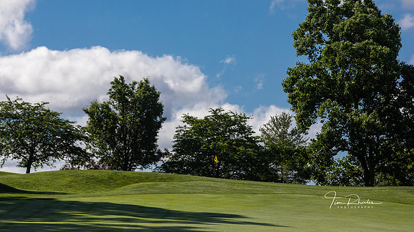 GOLF-8748