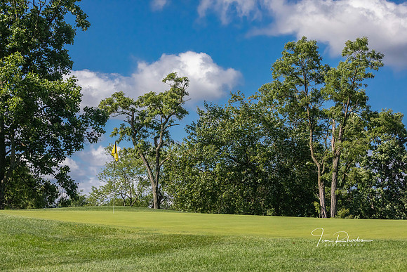 GOLF-8754