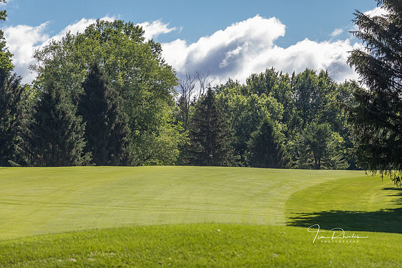 GOLF-8763