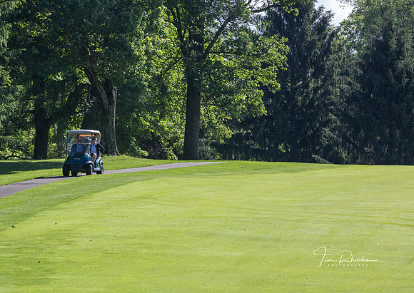 GOLF-8768