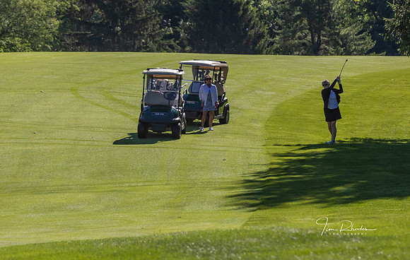 GOLF-8784