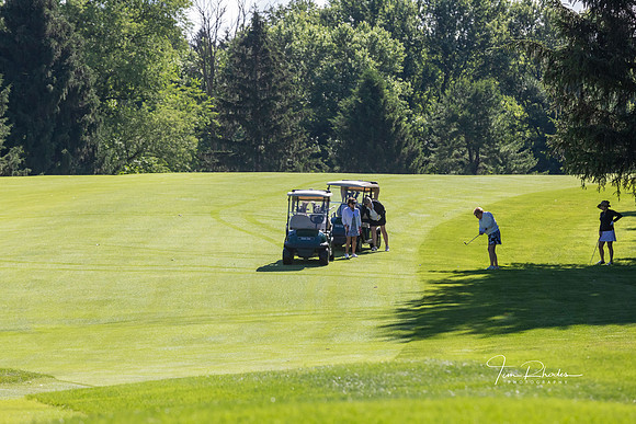 GOLF-8780