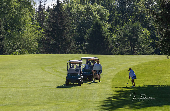 GOLF-8787