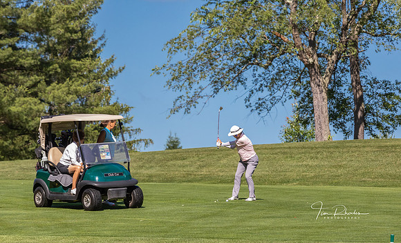 GOLF-8812