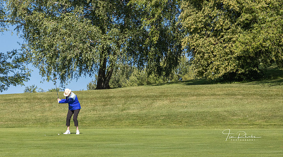 GOLF-8833