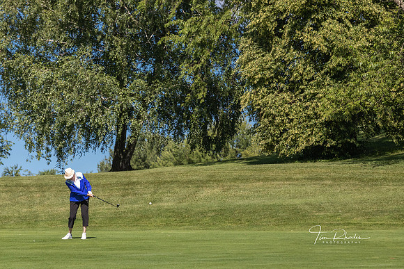 GOLF-8835