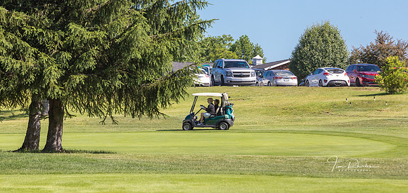GOLF-8866