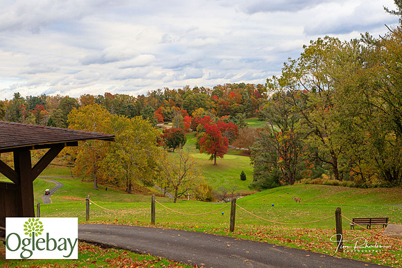 2022 Oglebay Golf-1398