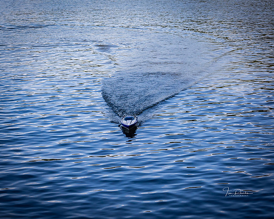 Regatta 2019-7762
