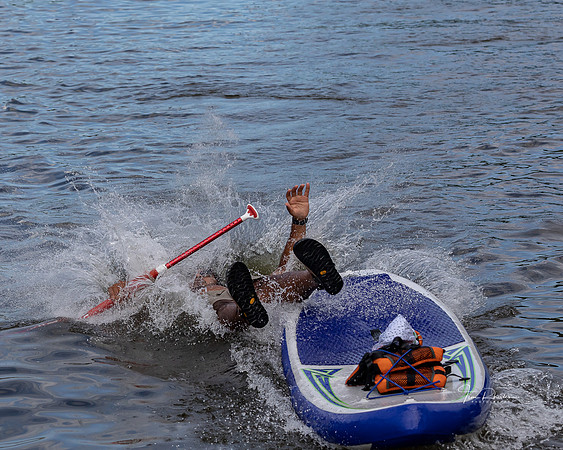 Regatta 2019-8132