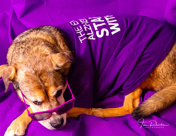 Dixie-0235