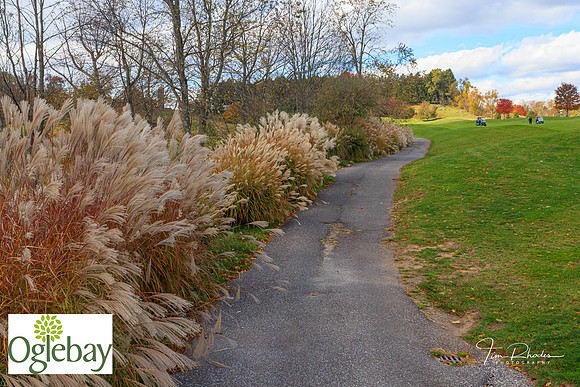 2022 Oglebay Golf-1754
