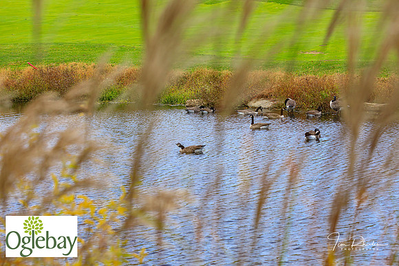 2022 Oglebay Golf-0094