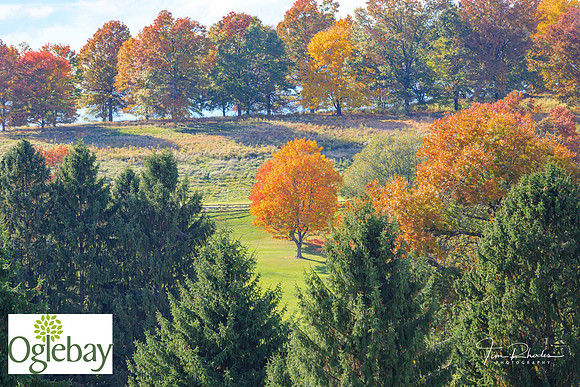 2022 Oglebay Golf-0175