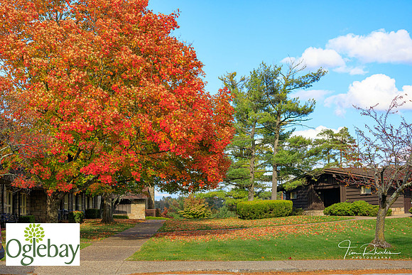 2022 Oglebay Golf-0199