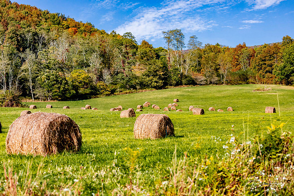 Canaan Fall-0341