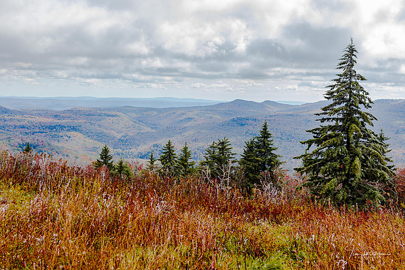 Cranberry Fall-5009