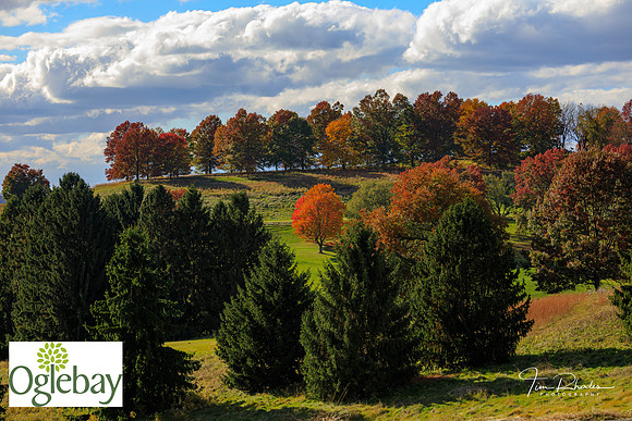 2022 Oglebay Golf-0173