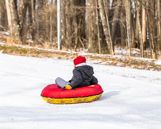 Toboggan Festival-2