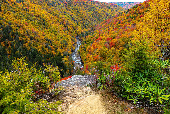 2021 Canaan Fall-0132