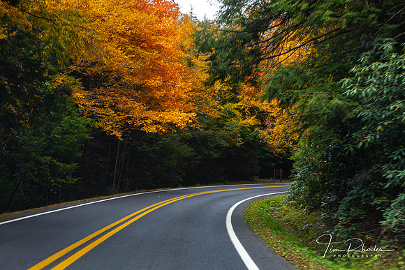 2021 Canaan Fall-0173