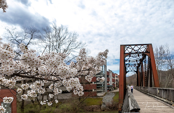 Waterfront-7218