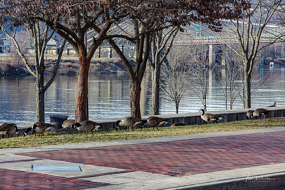 20200122-_MG_7836-2