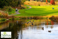 2022 Oglebay Golf-0060
