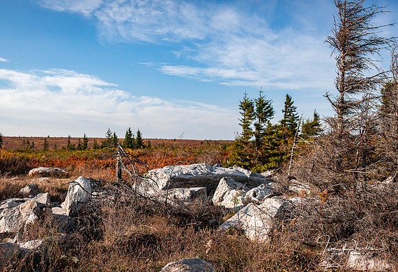 Fall -0388